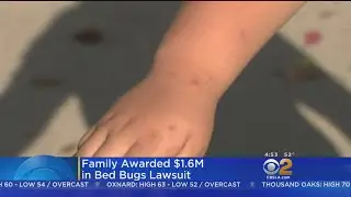 Jury Awards $1.6M To Inglewood Family In Bed Bugs Case