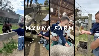 Fateema Swimming Progress + Myuna Farm Review | #Vlog41