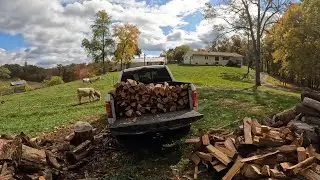 Stacking Wood and Hidden Treasures!!!