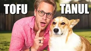 TOFUVAL Kutyás TRÜKKÖKET Tanultunk