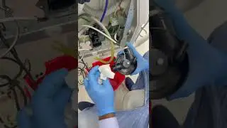 Dental chair suction drain motor service #bahrain #biomedical #biomedicalengineer #dentalchair