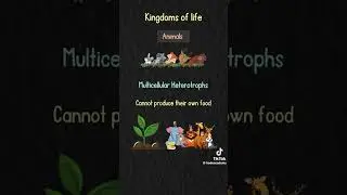 Learn how living things are classified into five kingdoms in a simple  way  #KingdomsOfLife