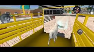 Animal Cargo Truck Driving Game 3D - Animal Transport Cargo Truck 2026