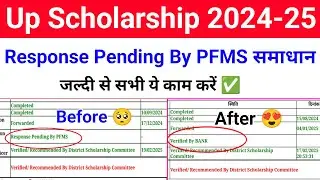 UP Scholarship Status 2024-25 response pending by pfms | UP Scholarship Response Pending By PFMS