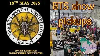 British Tarantula Society (BTS) Show Pickups