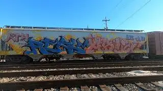 Train Hopping - New Orleans to Waycross Georgia leaving Mardi Gras