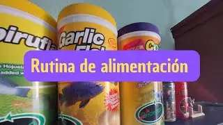 Alimenta mejor a tus peces !!! | The Fisher Tank | Acuaristas unidos |