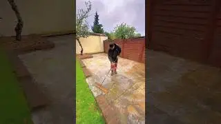 watch this filthy patio come to life satisfying softwash