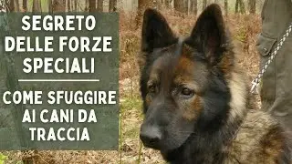 IL SEGRETO DELLE FORZE SPECIALI - Come sfuggire ai cani da ricerca