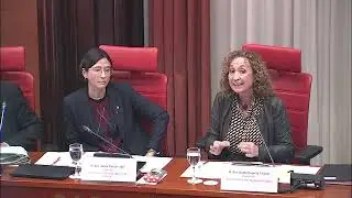 Picabaralla entre Xavier Pellicer (CUP), N&uacute;ria Palon (Interior) i Esther Capella al Parlament