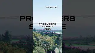 Producers sample this from “Steppa” - Afrobeats Sample Pack Shailusounds.com 🤝 #loopkits #cymatics