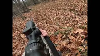 fall 2025 deer firearms season - SW Missouri 