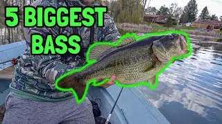 Top 5 Biggest Bass Caught - Big Bass 2021