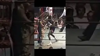 el Gran maromero P&aacute;ez
