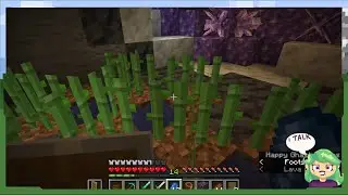 The Nether, Sugarcane, Triumph, and Finally, Death | Silent Minecraft p8