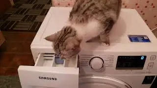 Стиральная машина Samsung AddWash WW65K42E08WDLP первый запуск