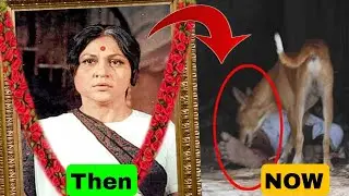 Nirupa Roy Real Life Story | Bollywood ki Asli Maa ka Dard | Nirupa Roy Husband Truth | CTXTV