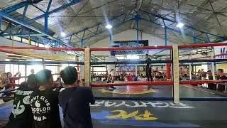 Blue corner Hard Nep Ticar round 1 winner via UD