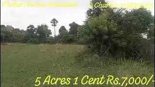 Vizhuppuram District, Chenchi Taluk. Near Thellar 20km to Site.
