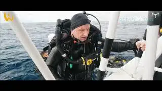 WiroDive Cocos Island 2019 | Video Trip Report