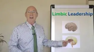 Introduction to Limbic Leadership