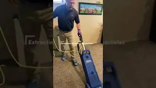 These are our carpet steam cleaning processes