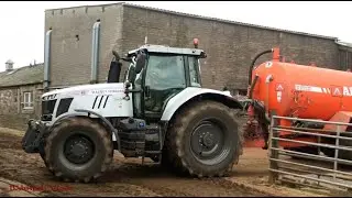 TWO Masseys on the Muck!  White MF 7700 and Red 7720 on Tanking.