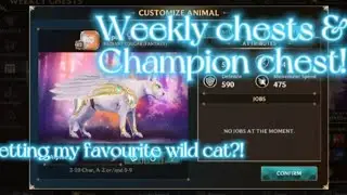 Wolf tales! Weekly Guild chests🐆 and Champion chest! Getting new fantasy wild cat?!
