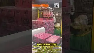 [CMT] Boxes Palletizing😎 #박스적재  #팔레트  #포장기계  #상자  #stacking #저가 #싸고좋은 #자동화