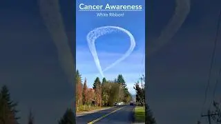 Lung Cancer Awareness Month! I Salute this Vol Pilot giving support to people with Cancer!#shorts