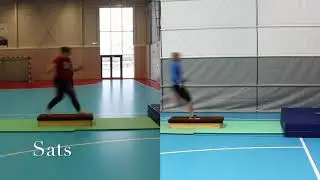 Lengdehopp