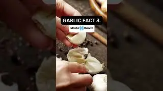 Garlic Fact #garlic #garlicbenefits #health #wellness #inflammation