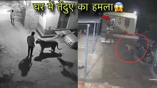 Leopard Attack In Man CCTV Camera Leopard Attack Indian Village | Viral Video Wild Leopard Attack