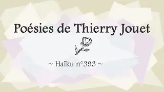 Ha&iuml;ku n&deg;393 Dans les arbres creux