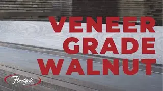 Hartzell Hardwoods Product Highlight: Veneer Grade Walnut