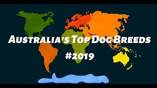 Australia's Top Dog Breeds #2019