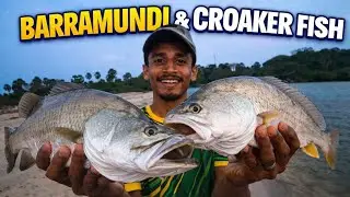 First Barramundi of 2026! Shore Fishing Surprise & New Species Catch 🐟