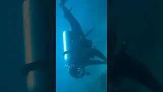 Suii🌊.        #underwater #scubadiving #paditv