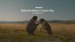 CREWS SUBARU AND THE ASPCA SPONSORING ADOPTIONS