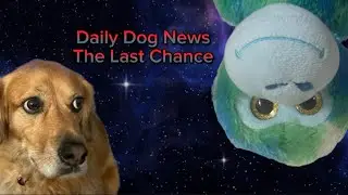 Daily Dog News: Ep. 5