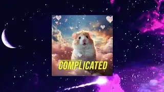 Hyper Hamster & PET3RPUNX & ExtraGirl - Complicated