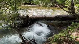 (4K UHD) SILENT SCENERY @ Quartz Creek Trailhead! | Lewis River Trail Upper Falls | Gifford Pinchot