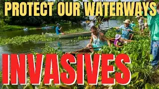 INVASIVE SPECIES - Waterway conservation