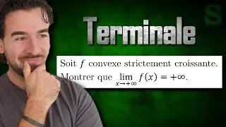 Convexité, dérivation, limite de fonction, équation de tangente
