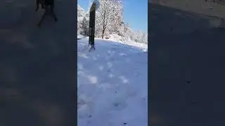 Scene Nowdays #ytshorts #snow #winter #germany #shorts