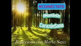 ¿Sabes lo que es el micelio o micorriza? #micelio #micorriza #hongo #red #bosque #nature #conéctate