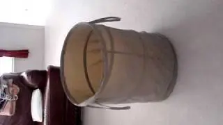funny bunny tricks