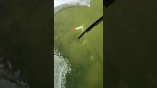 Blackout Darkhouse Ice Spearing