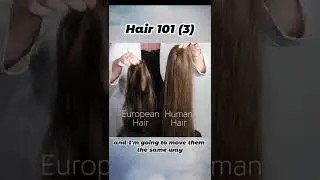 European Hair VS Regular Human Hair, Part 3 #shorts #europeanhair #bestjewishwig