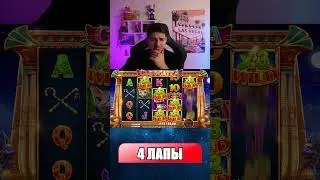Упало 4 ЛАПЫ в ДОРОГУЩЕЙ БОНУСКЕ CLEOCATRA #shrots